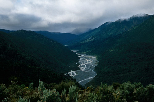 Orongorongo valley