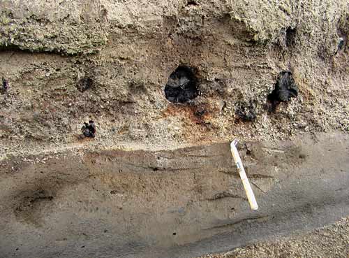 Evidence of the Taupō eruption