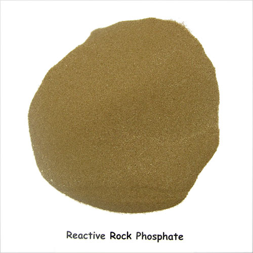 Reactive rock phosphate fertiliser