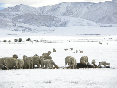 Snow in spring