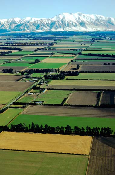 The Canterbury Plains