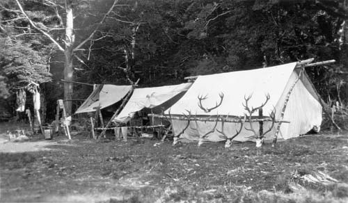 Deer cullers’ camp
