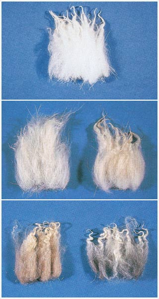 Classes of cashmere fibre