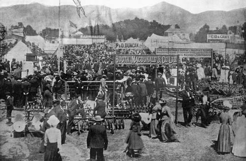 Canterbury show, 1901