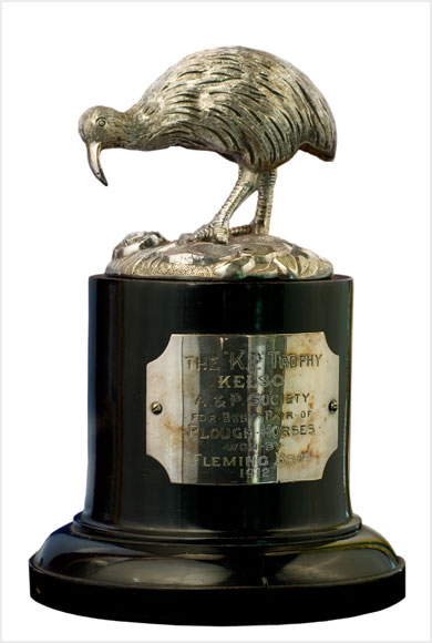 Trophy for horses