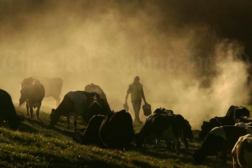 Farmer scattering magnesium