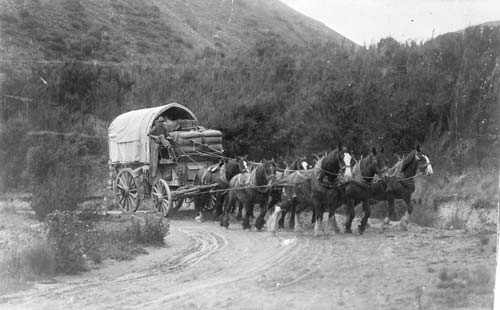 Horse-drawn wagon