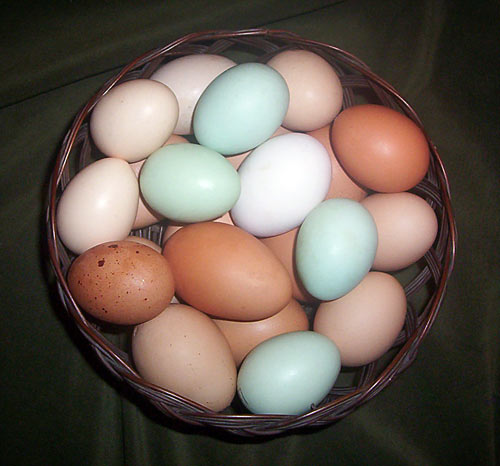 Coloured eggs.