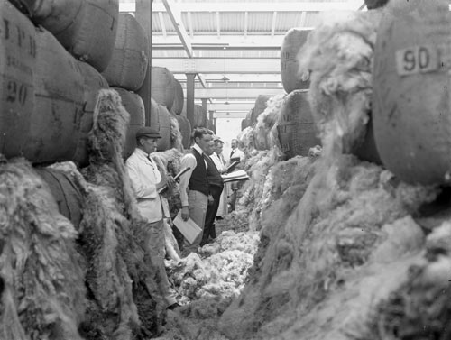 Inspecting wool 