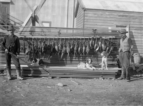 Hunters and pheasants, 1912 