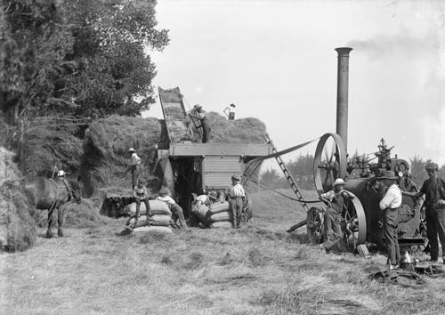 Threshing machine and traction engine, about 1900 