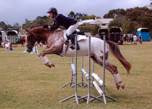 Pony-club jumping