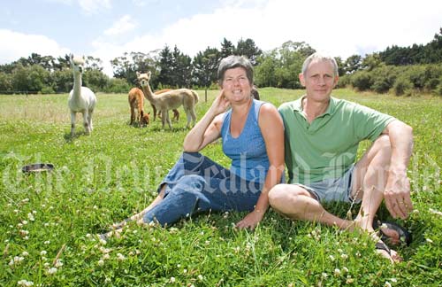 Lifestyle farmers at Mangawhai, 2007