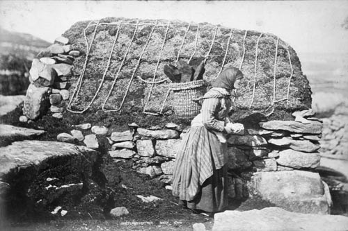 A Shetland woman knitting