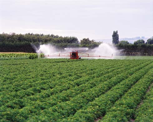 Irrigated crops 