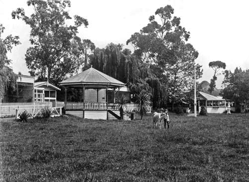 Aramoho zoo, Whanganui