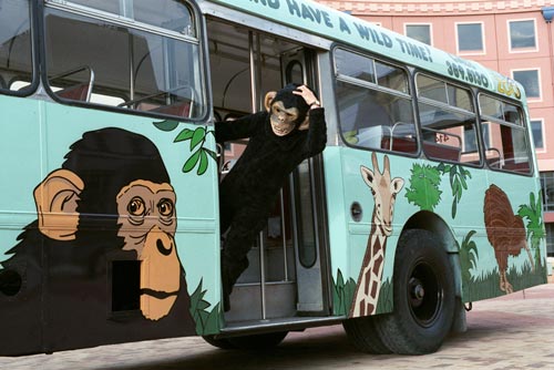 Zoo bus