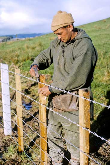 Farmer fencing