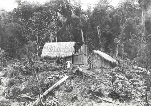 Settler whare