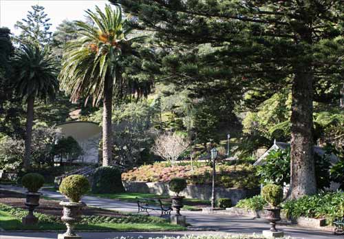 Main gardens, Wellington Botanic Garden