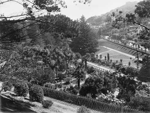 Wellington Botanic Garden, 1910