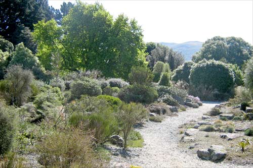 Scree garden, Dunedin Botanic Garden