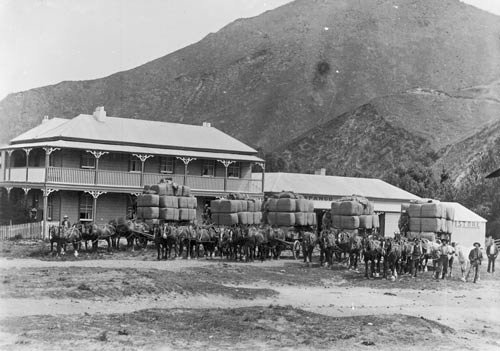 Carts loaded with wool bales, Kurīpāpango, 1910