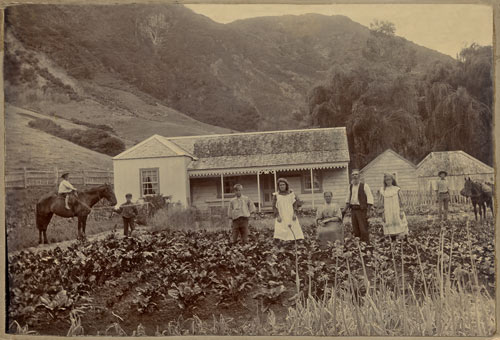 The Paddison family, Great Barrier Island,1898