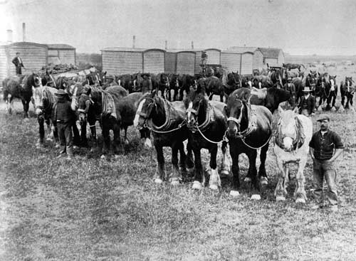 Longbeach plough camp