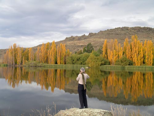 Autumn colours, Central Otago