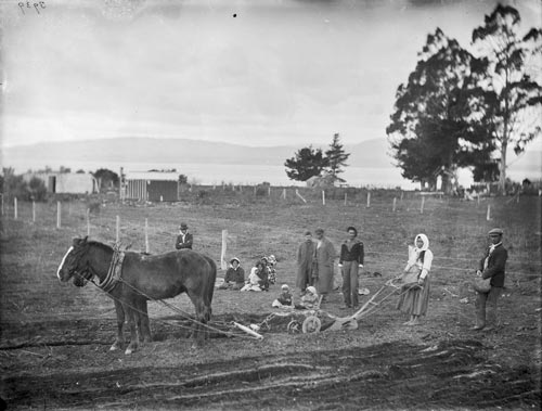 Rural Māori family