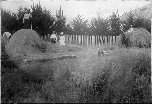 Family haymaking