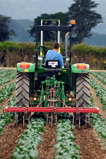 Mechanical weeding 