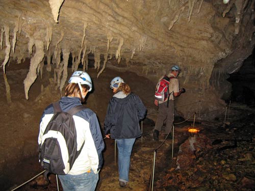 Stalactites, Ōpārara caves 