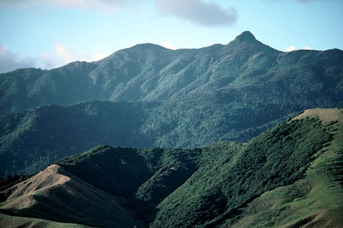 Mt Moehau, Coromandel Peninsula