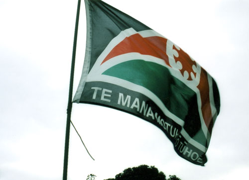 Te Mana Motuhake o Tūhoe flag 