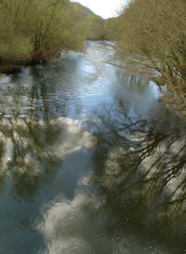 Waipā River