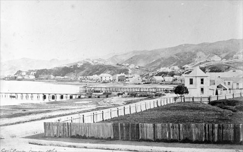 Wellington shoreline after the 1855 earthquake