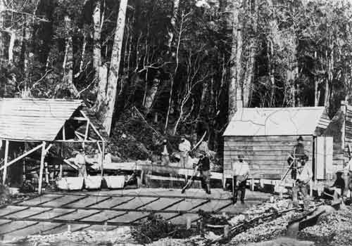 Miners at Addisons Flat, West Coast