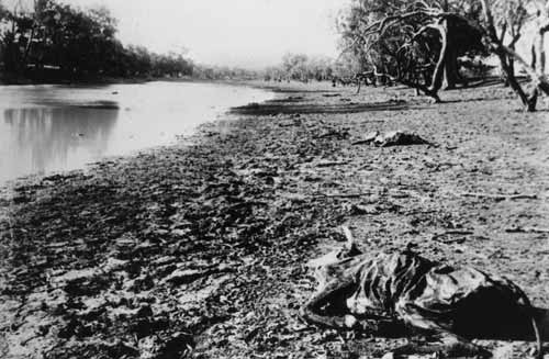 Deadly drought in Queensland, early 1900s