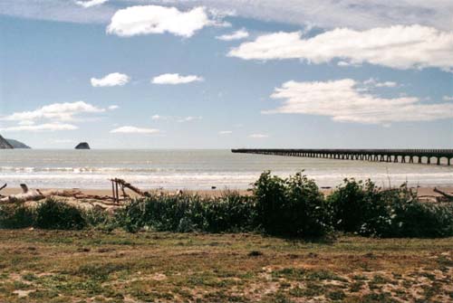 Tolaga Bay wharf