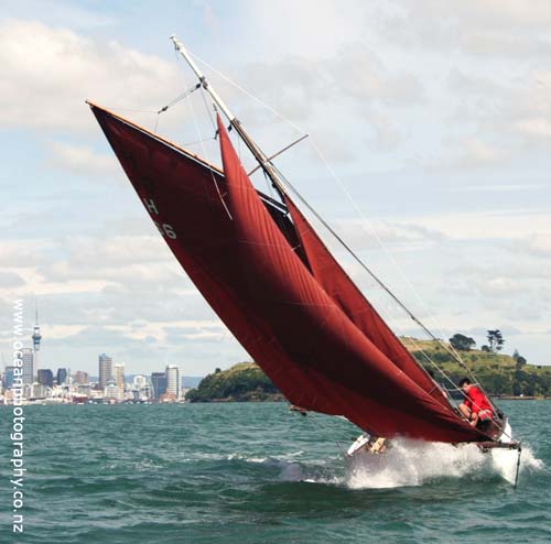 Auckland yachting