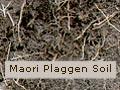 Plaggen soil