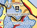 Tauranga