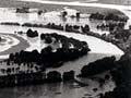 Ruamāhanga River in flood 