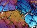 Dunite under the microscope 