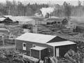 Sawmill, Ohakune