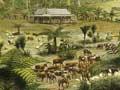 North Island sheep and cattle farming