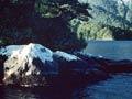 Marcaciones Point, Doubtful Sound, Fiordland