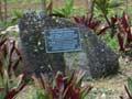 Garden of seven stones, Rarotonga 